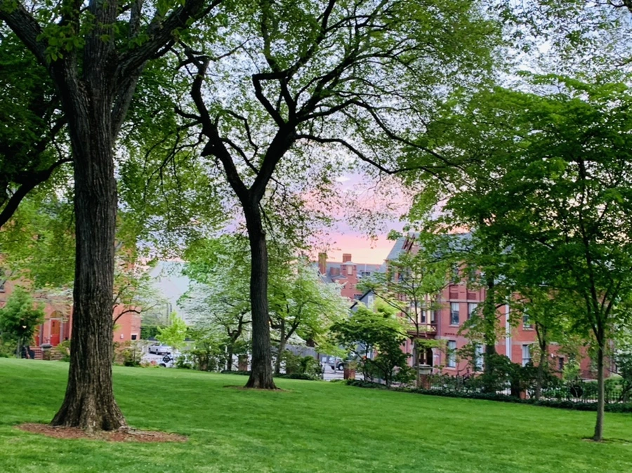 IMG_2571.jpg?type=w966