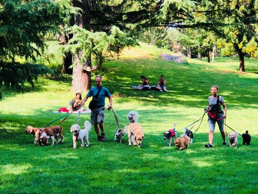 IMG_3747.jpg?type=w966