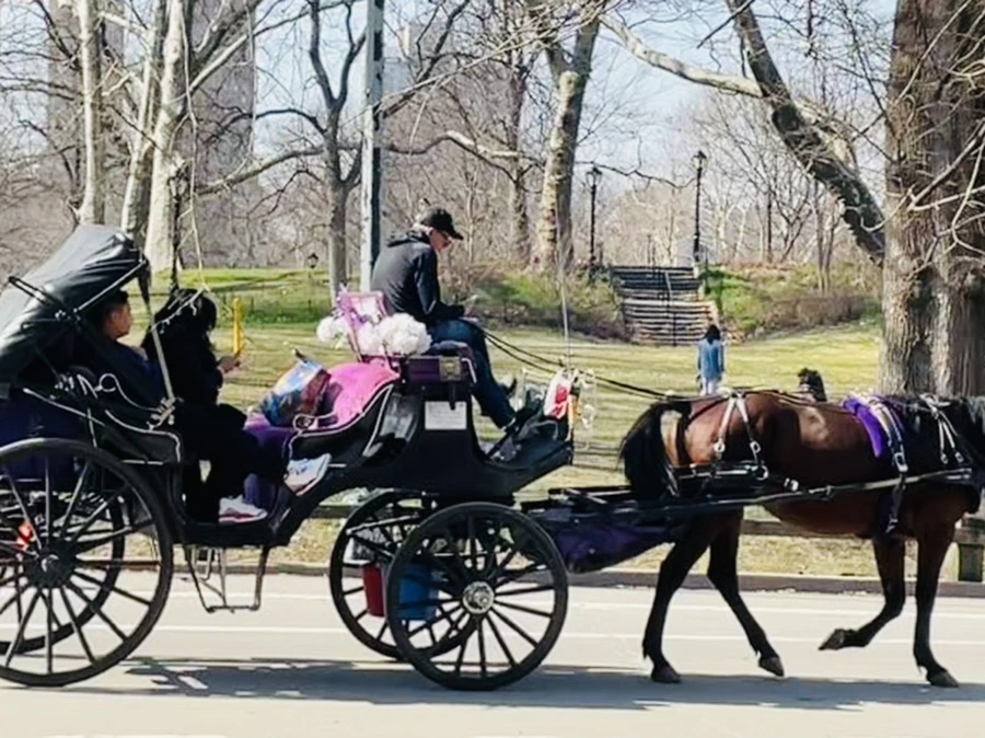 IMG_5530.jpg?type=w966