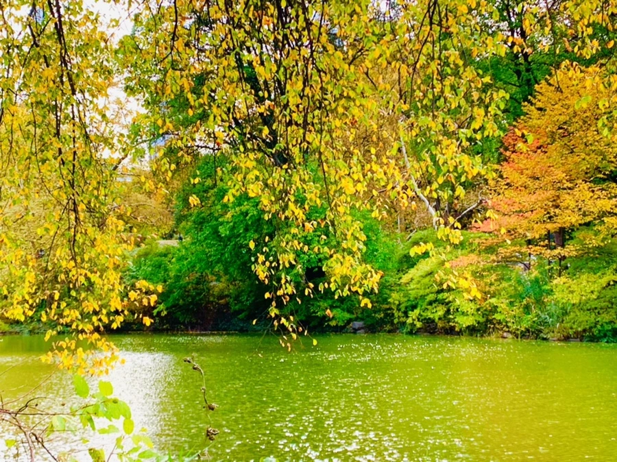 IMG_0193.jpg?type=w966