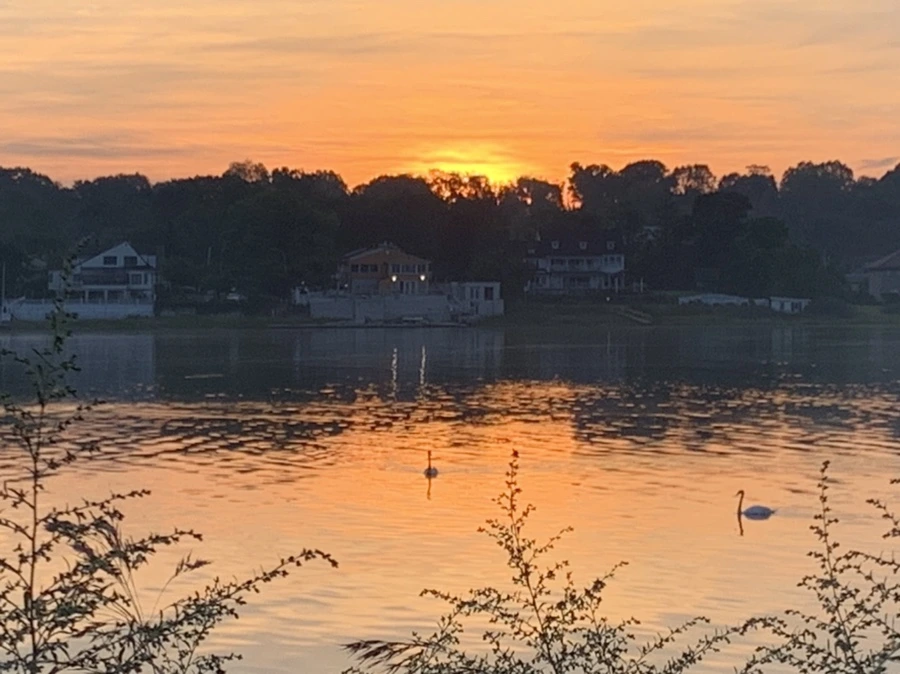 IMG_6811.jpg?type=w966