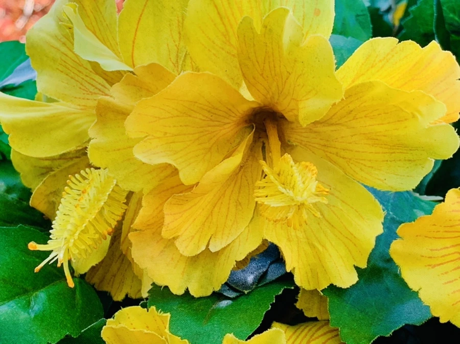 IMG_0398.jpg?type=w966