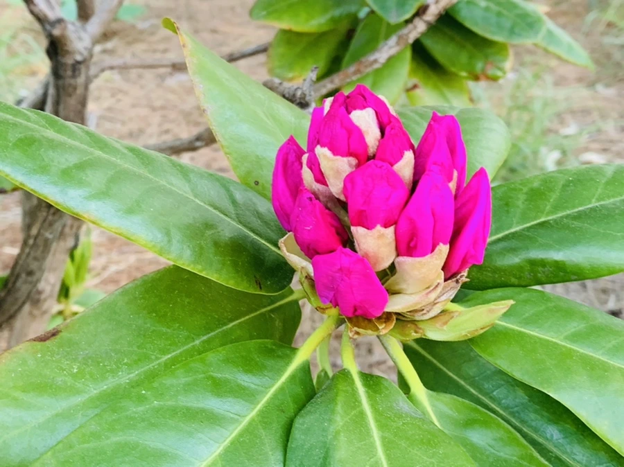 IMG_0554.jpg?type=w966