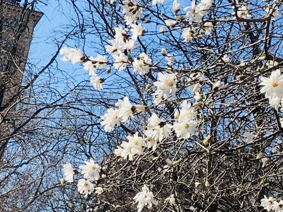 IMG_5390.jpg?type=w966