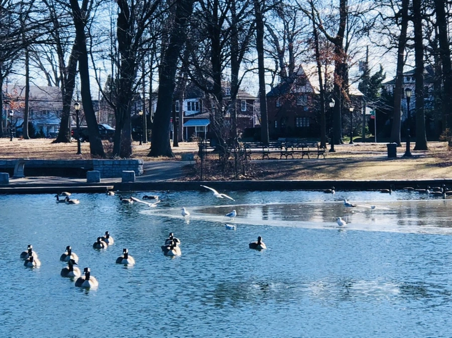 IMG_5422.jpg?type=w966