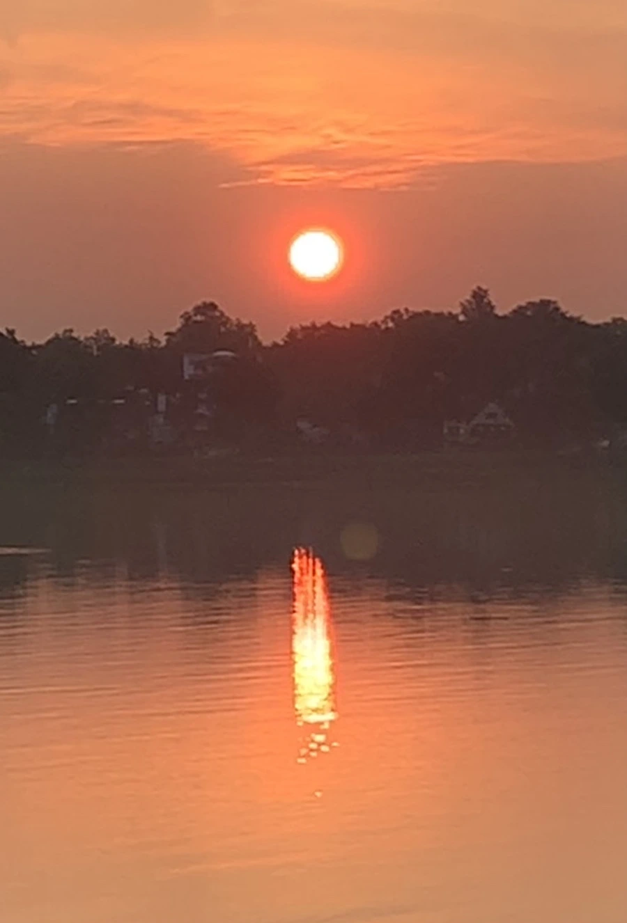 IMG_1364.jpg?type=w966