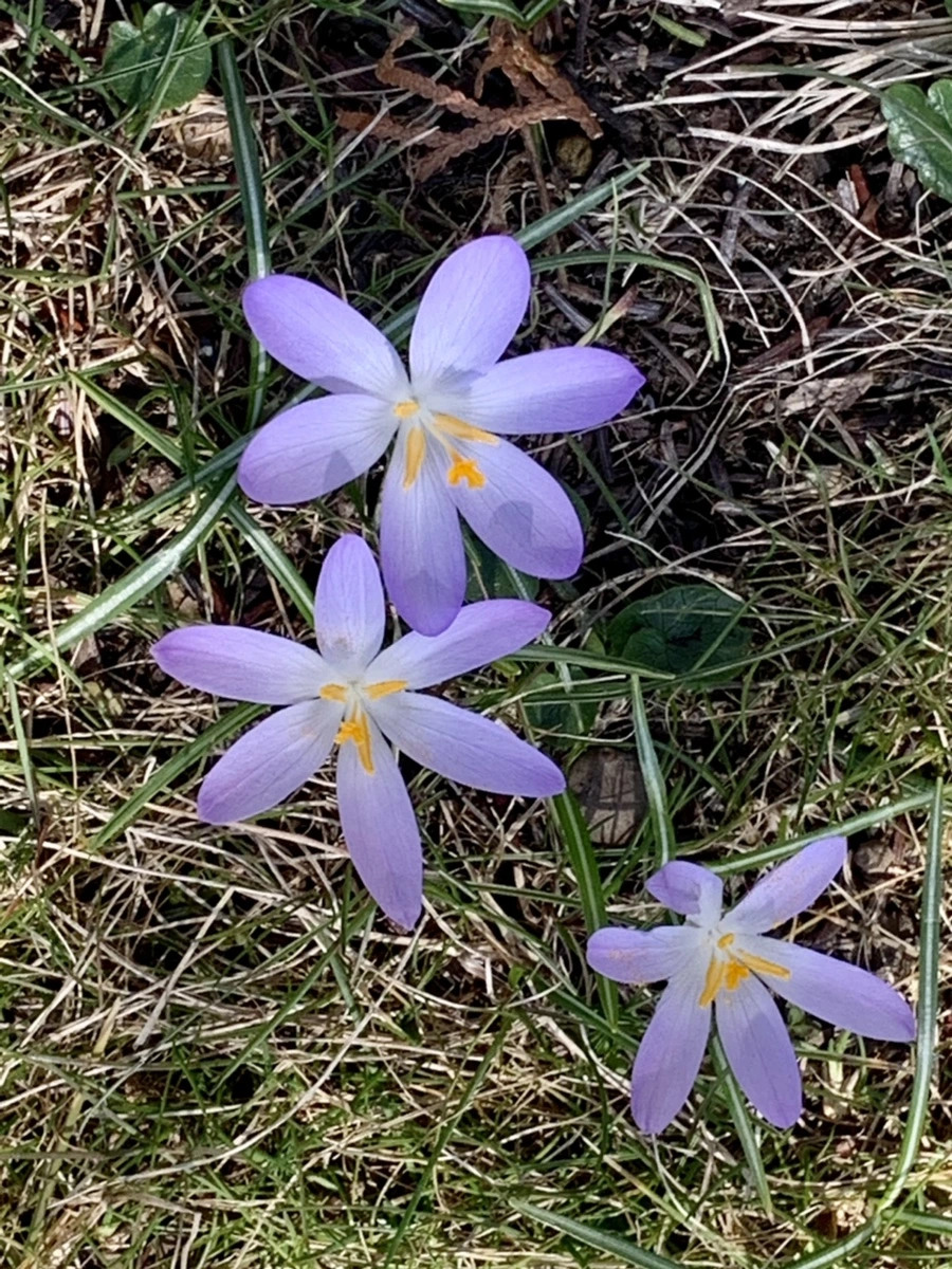 IMG_9210.jpg?type=w966