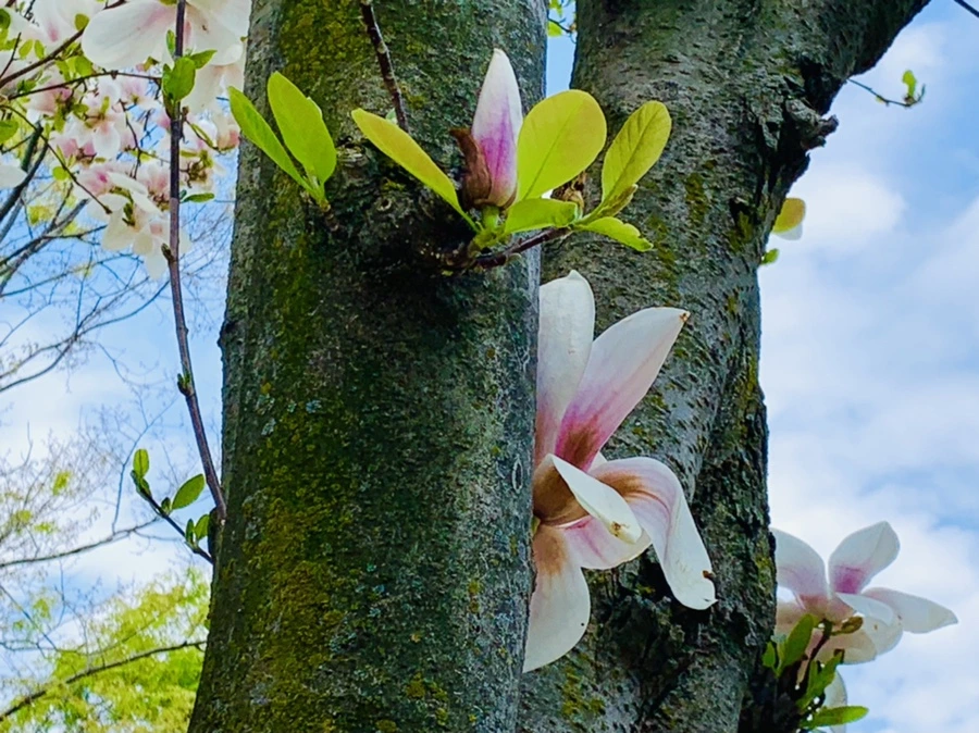 IMG_3895.jpg?type=w966