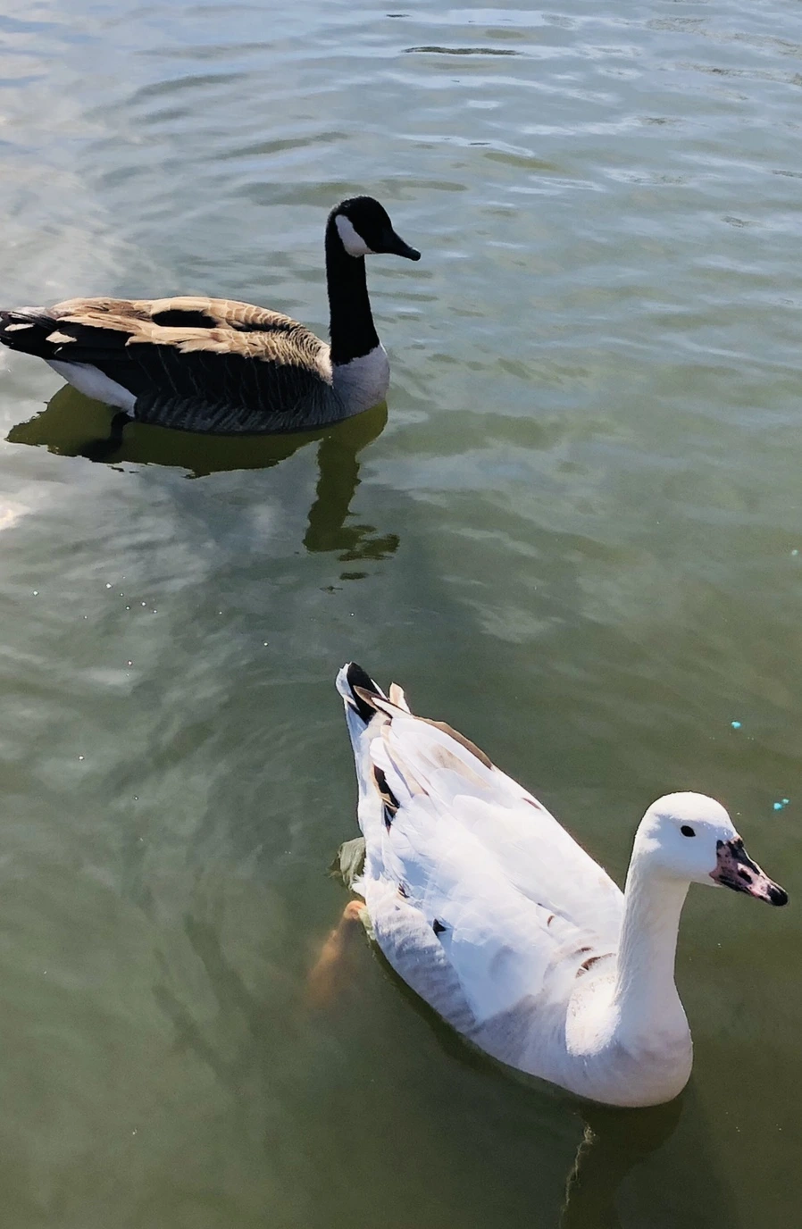 IMG_9506.jpg?type=w966