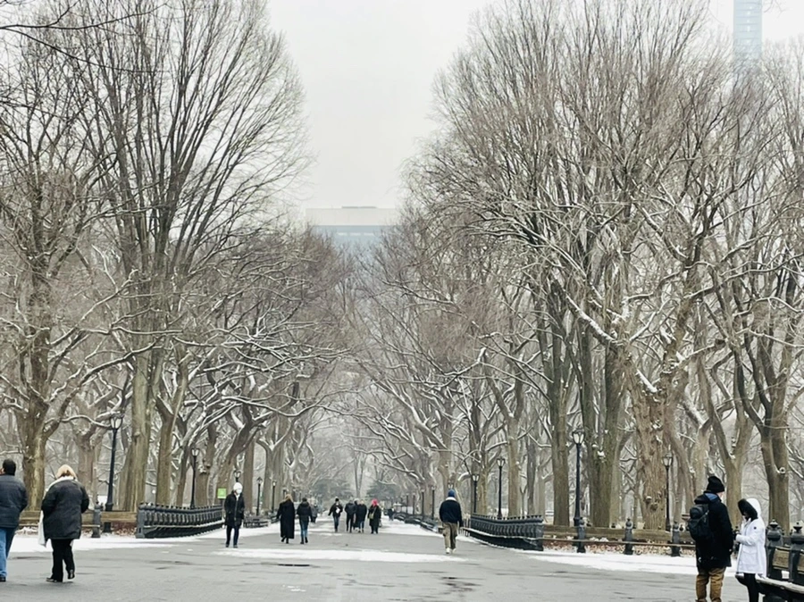 IMG_0752.jpg?type=w966