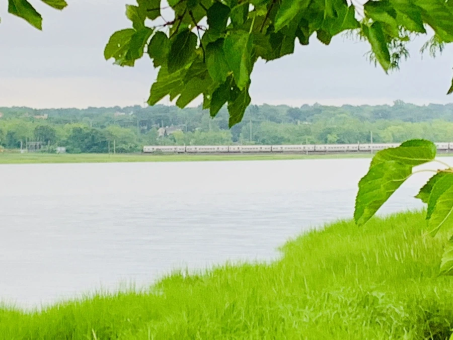 IMG_7058.jpg?type=w966