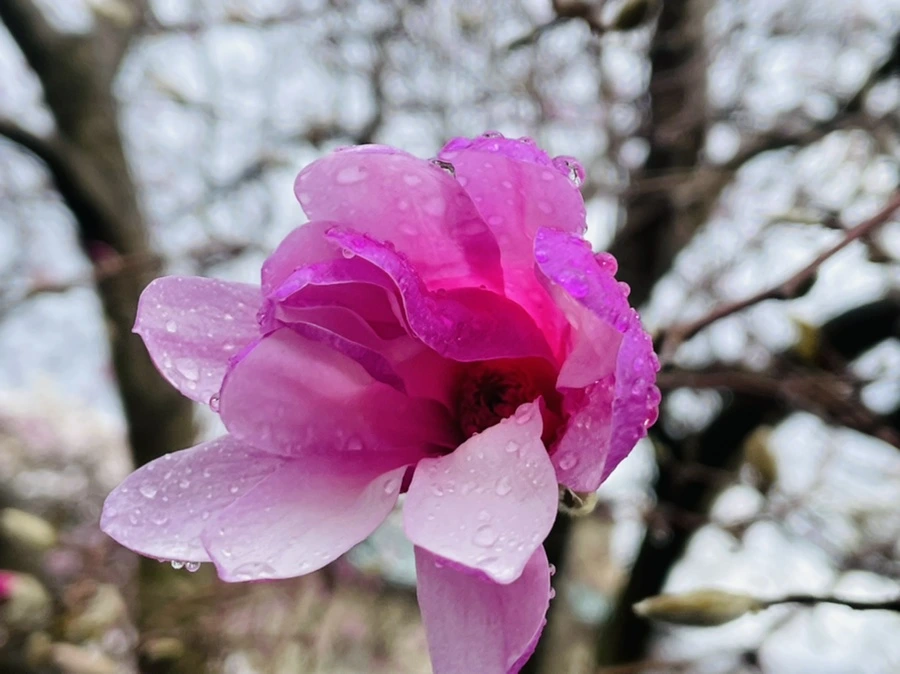 IMG_7378.jpg?type=w966