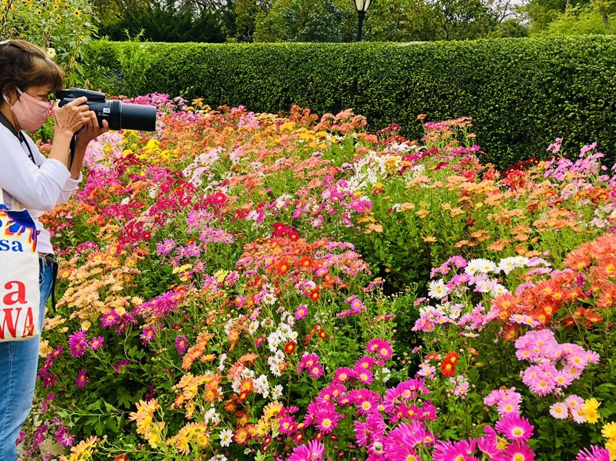 IMG_2489.jpg?type=w966