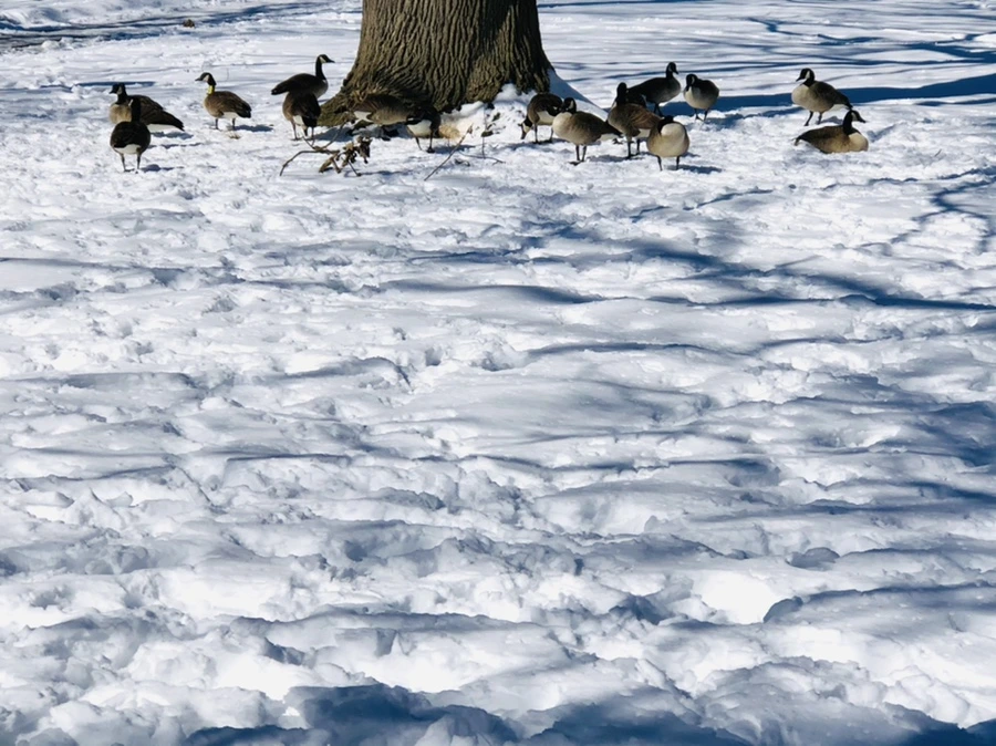 IMG_3962.jpg?type=w966