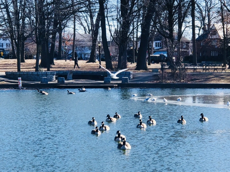 IMG_5426.jpg?type=w966