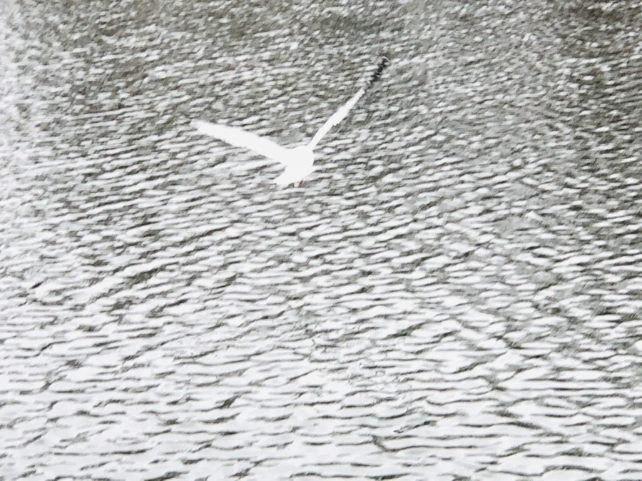 6cbgQDq2KvgaYcRp3JpPfiEOPVQ