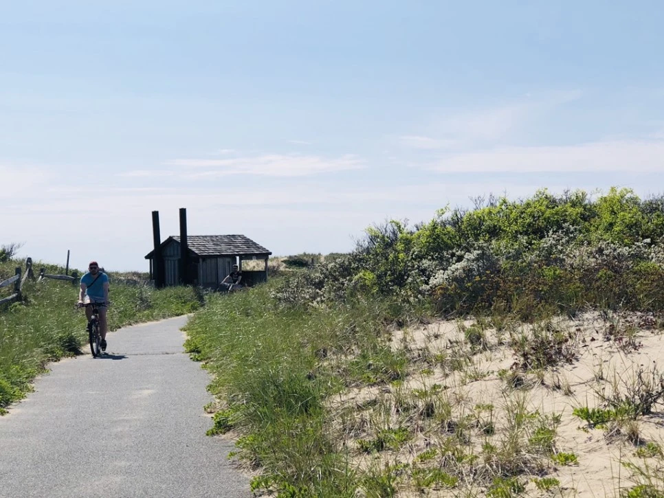 IMG_5114.jpg?type=w966