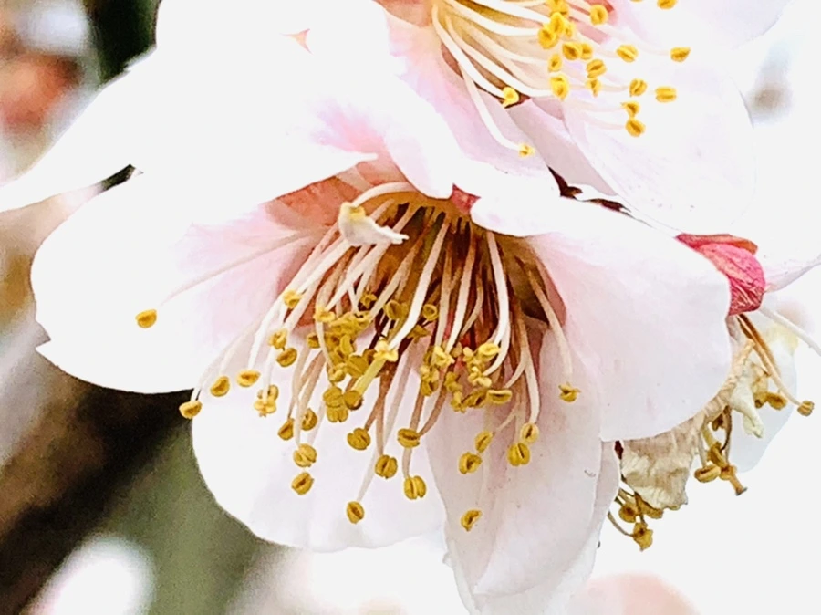 IMG_3640.jpg?type=w966