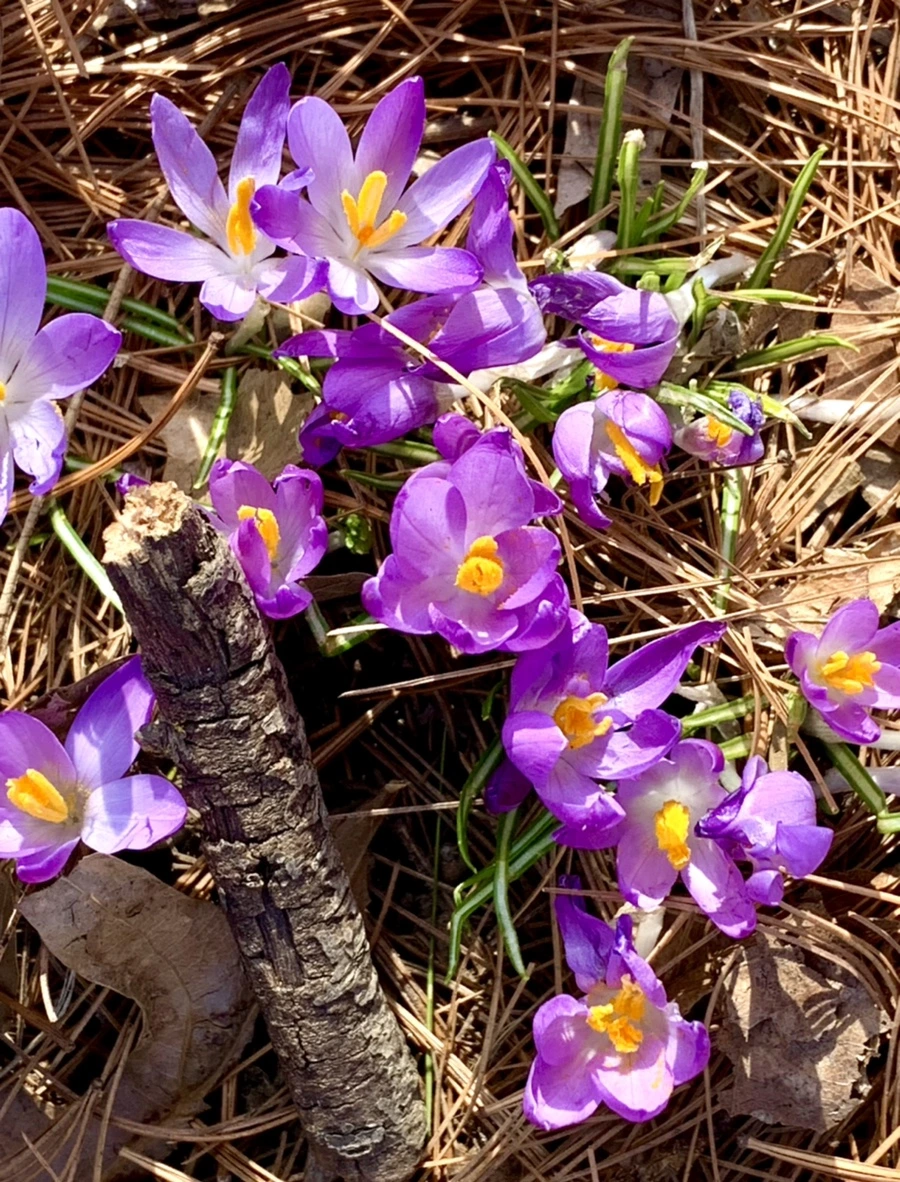 IMG_0170.jpg?type=w966