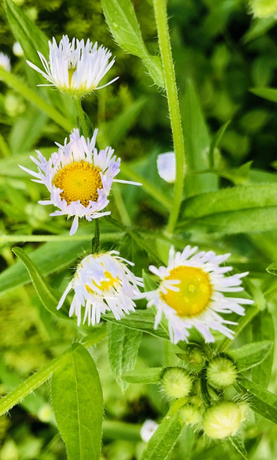 wFxJULf6n_73eFNki5wPrF6NsFw