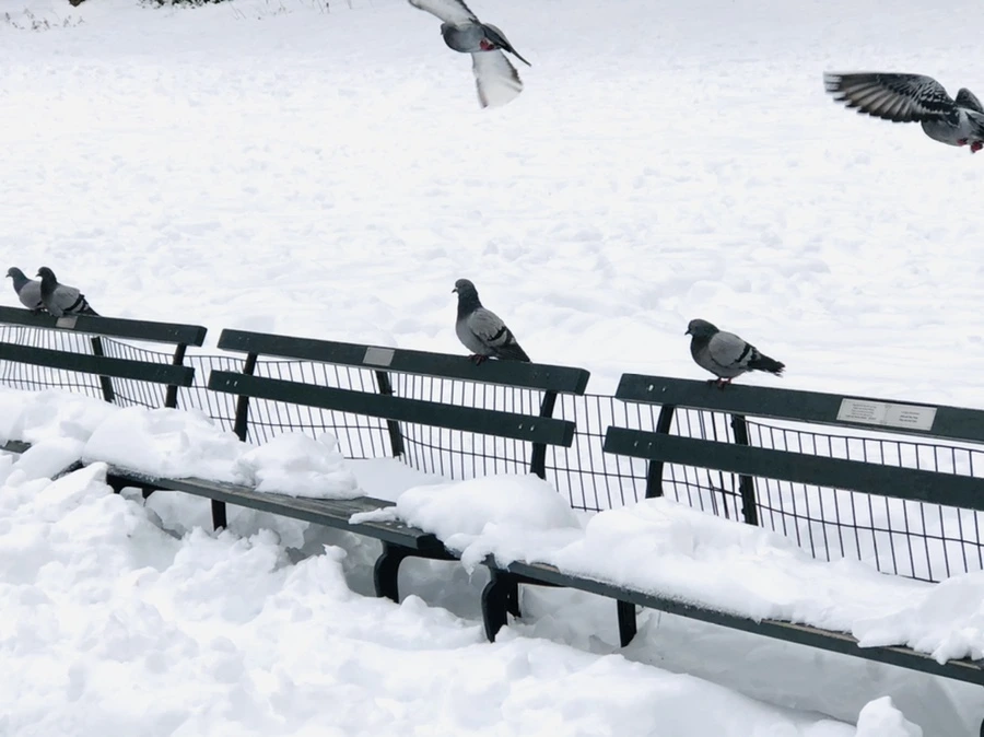 IMG_9138.jpg?type=w966