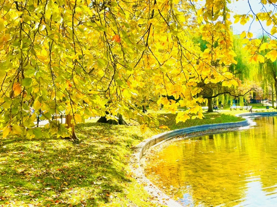 IMG_2565.jpg?type=w966