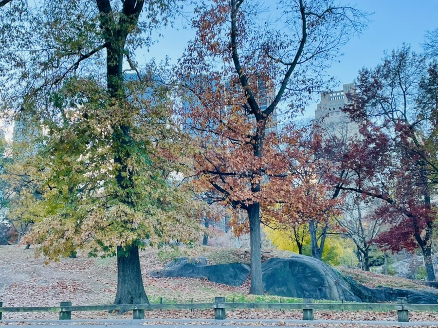 IMG_5052.jpg?type=w966