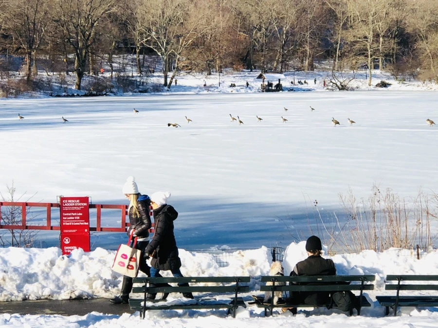 IMG_9825.jpg?type=w966