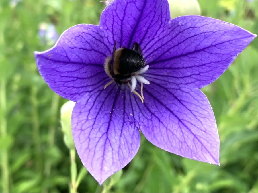 IMG_2624.jpg?type=w966