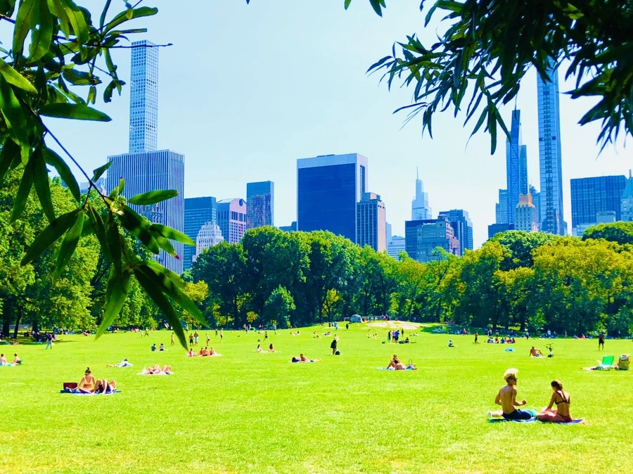 IMG_9346.jpg?type=w966