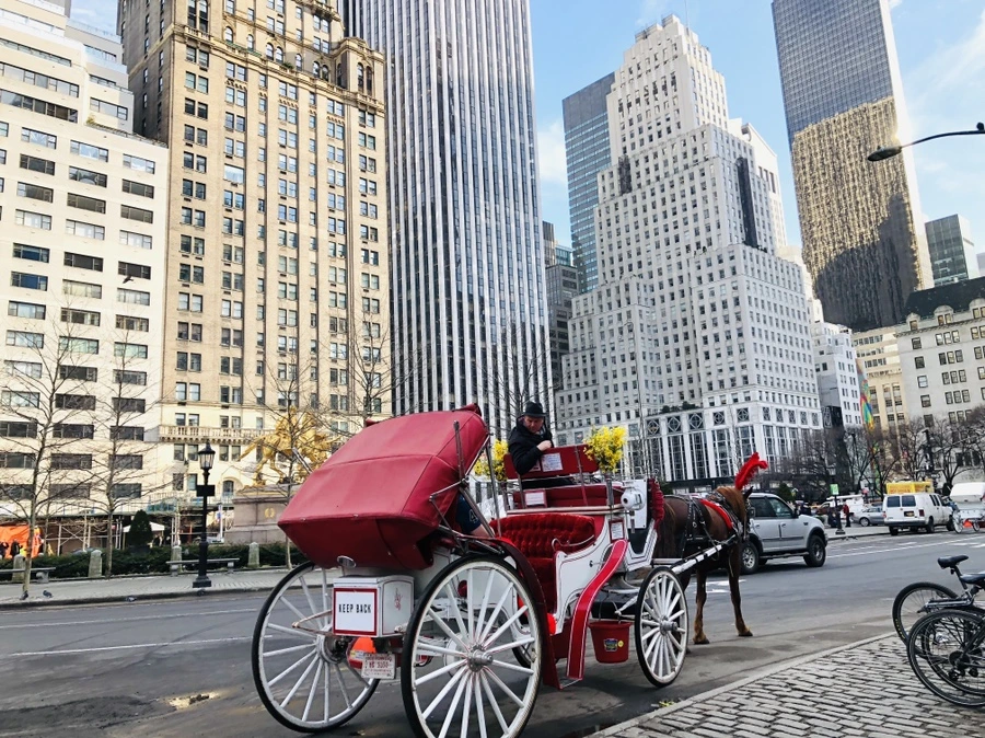 IMG_9417.jpg?type=w966