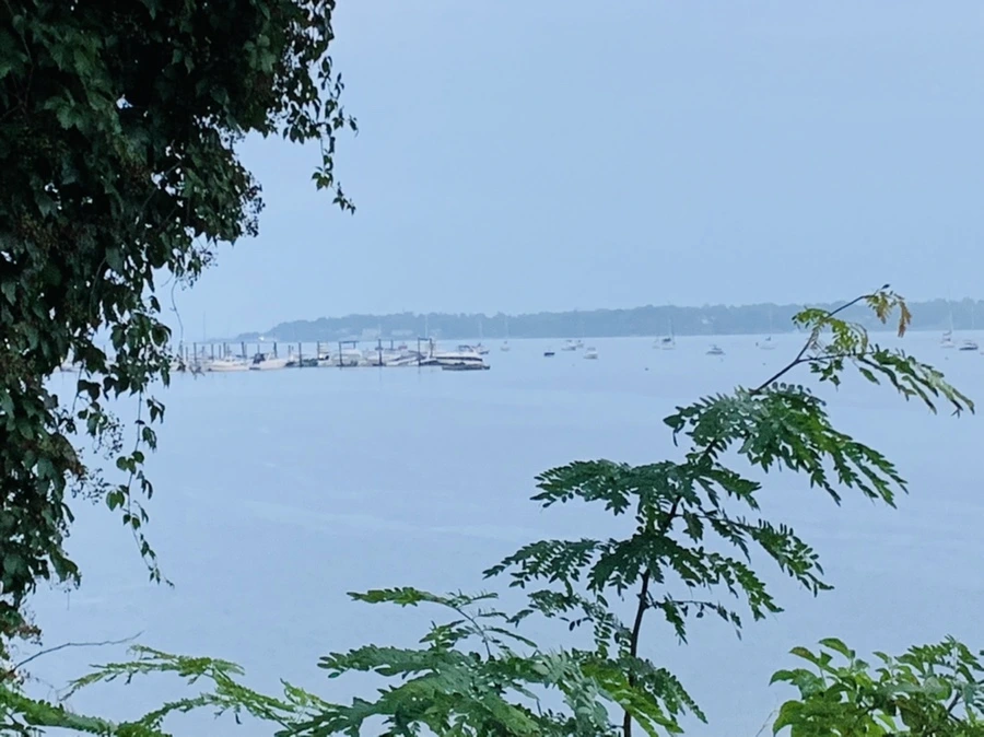 IMG_0111.jpg?type=w966