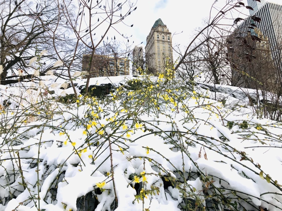 IMG_7387.jpg?type=w966