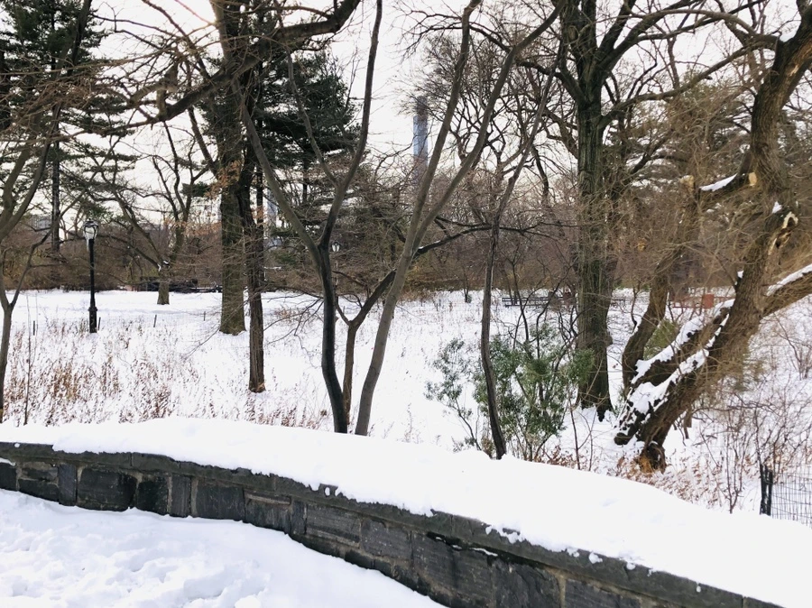 IMG_7293.jpg?type=w966