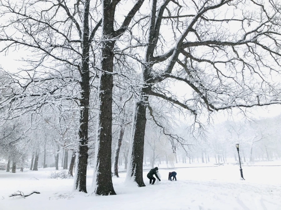 IMG_1071.jpg?type=w966