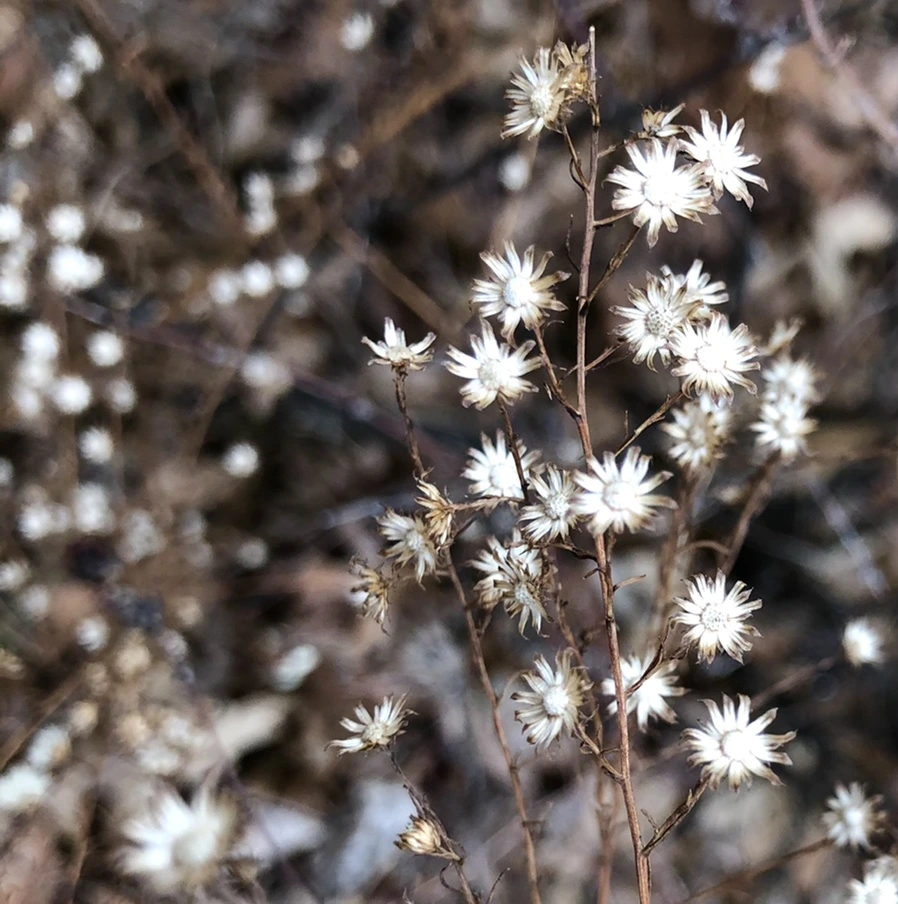 IMG_6502.jpg?type=w966