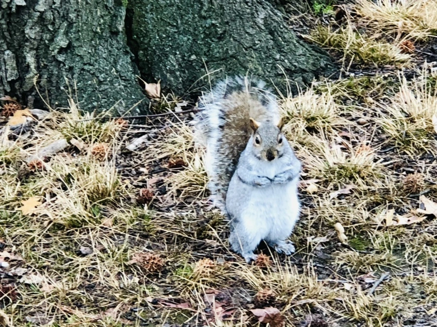 IMG_9549.jpg?type=w966