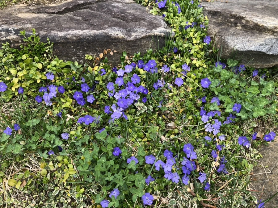 IMG_2609.jpg?type=w966