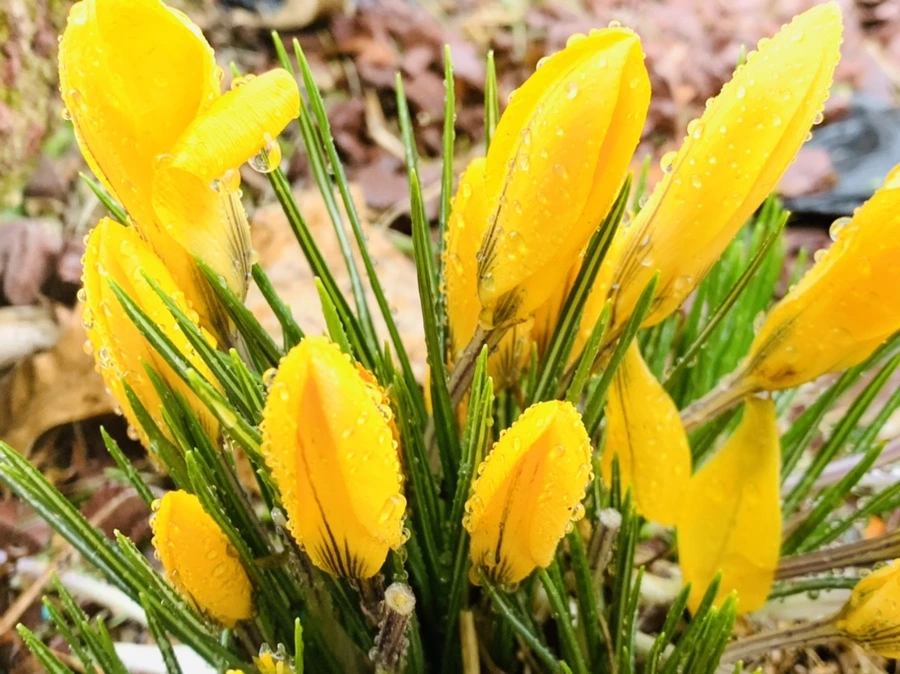 IMG_2025.jpg?type=w966