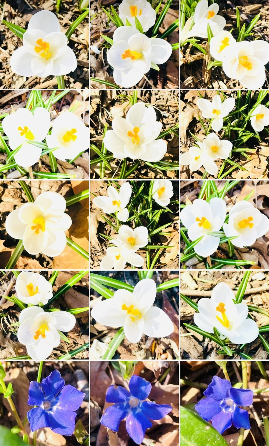 IMG_5656.jpg?type=w966