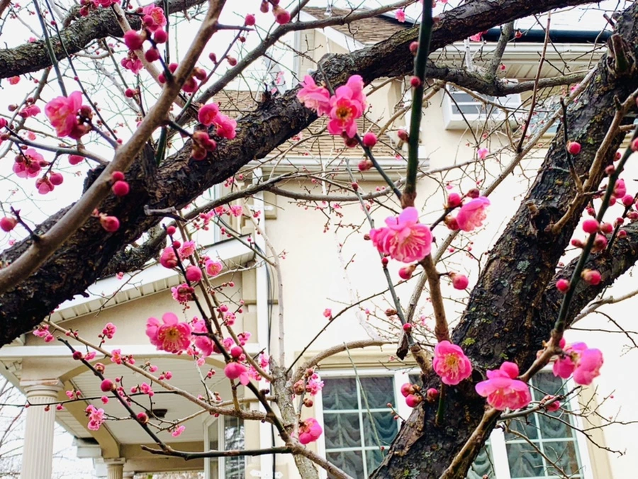 IMG_1598.jpg?type=w966