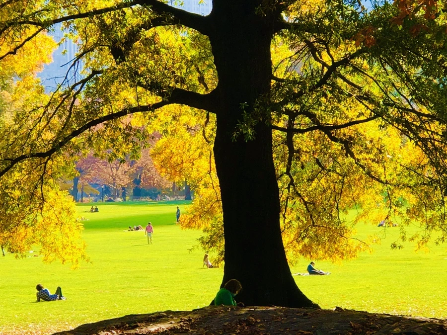 IMG_4335.jpg?type=w966