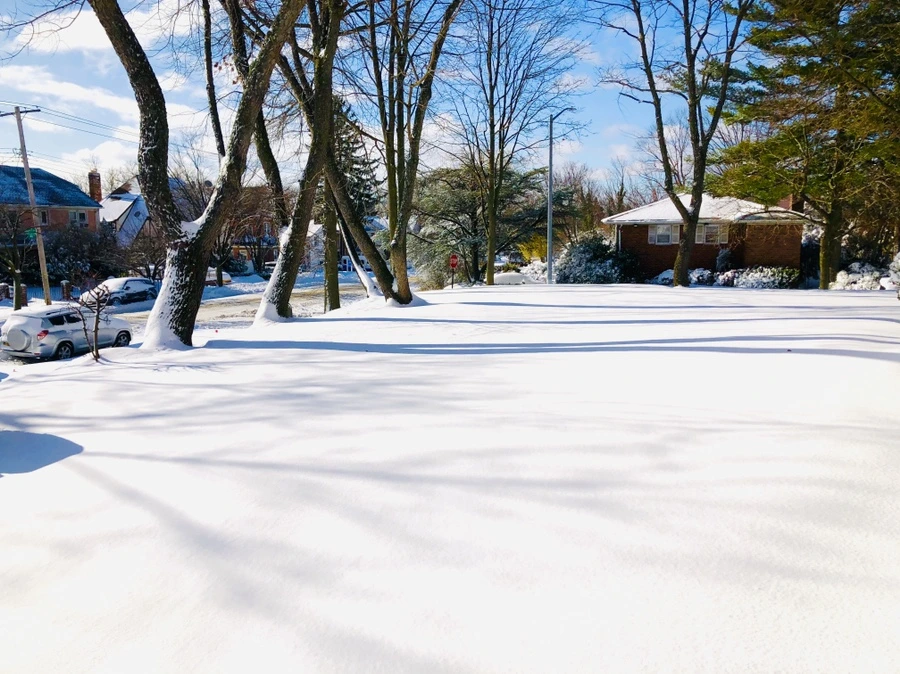 IMG_6960.jpg?type=w966