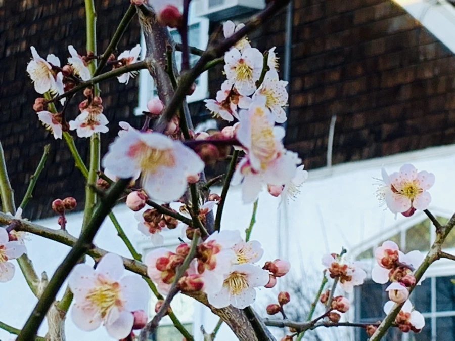 IMG_0858.jpg?type=w966