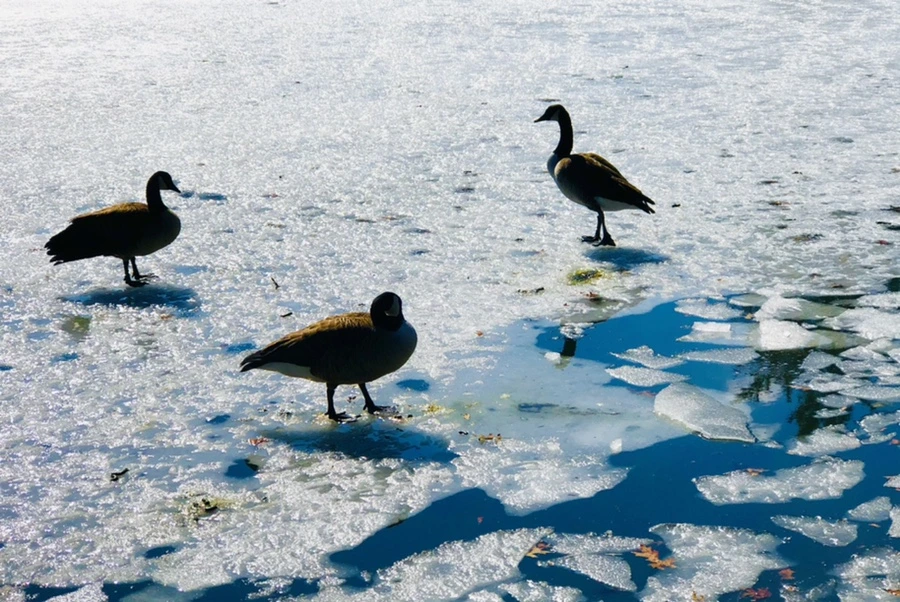 IMG_5046.jpg?type=w966