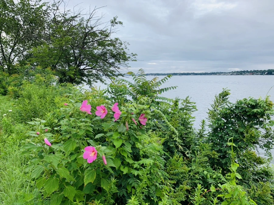 IMG_7743.jpg?type=w966