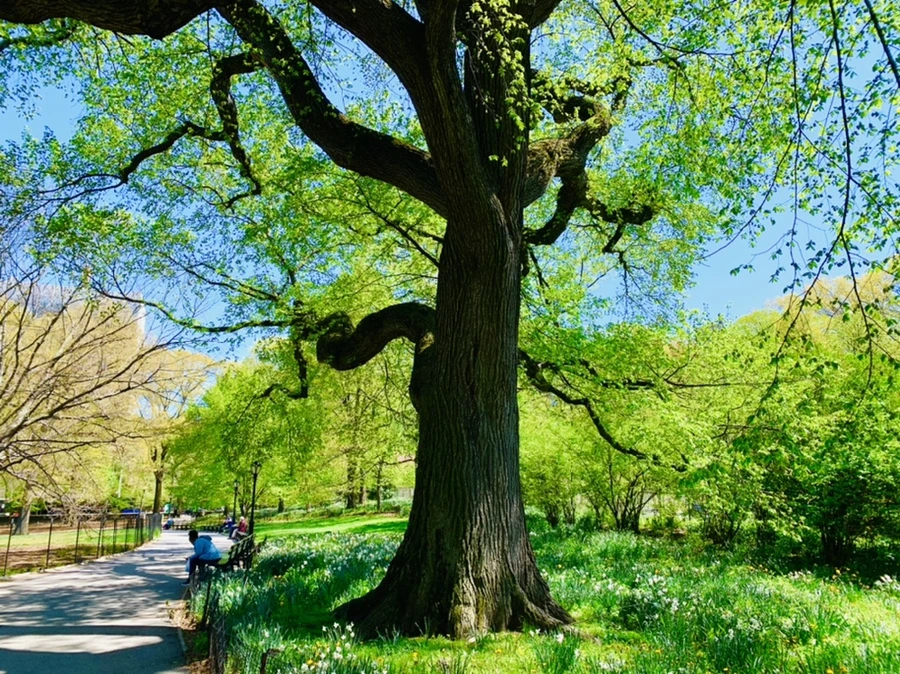 IMG_5695.jpg?type=w966