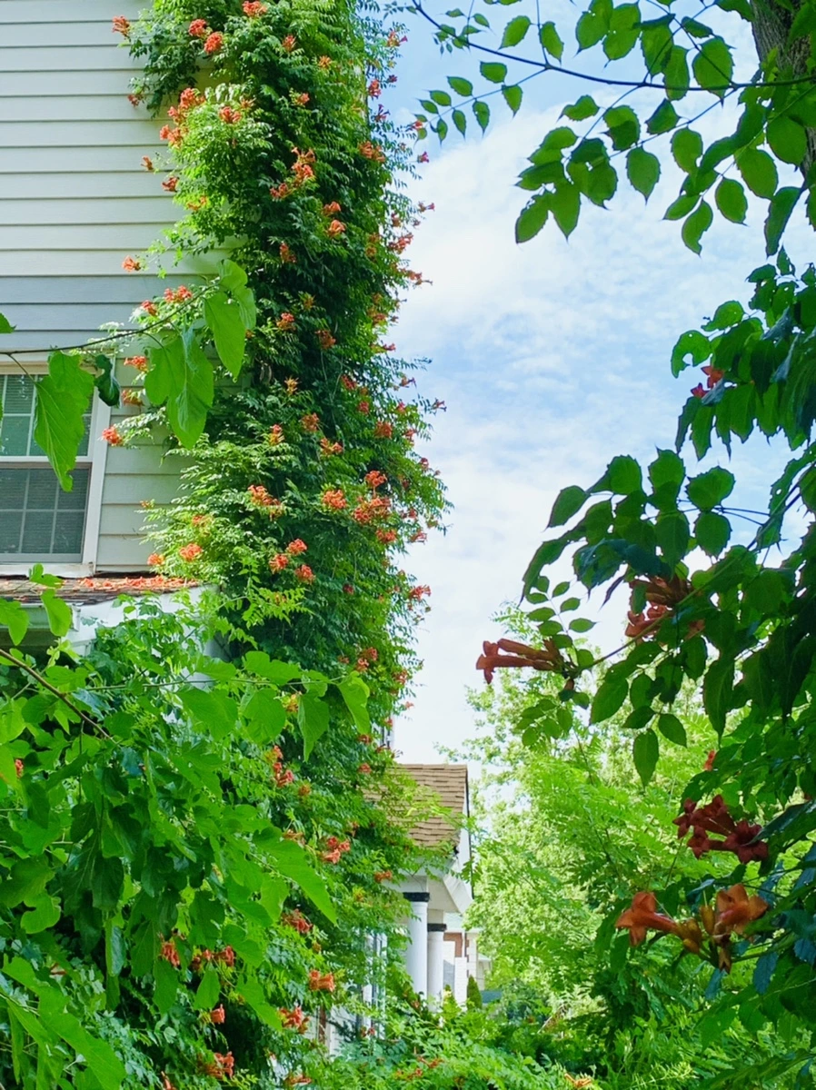 IMG_9613.jpg?type=w966