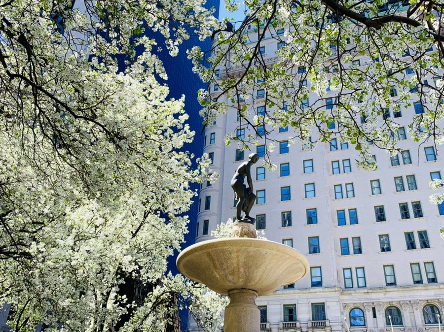 IMG_1617.jpg?type=w966