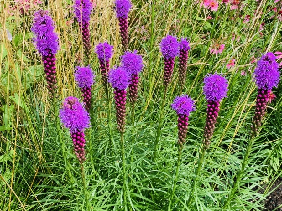 IMG_0575.jpg?type=w966